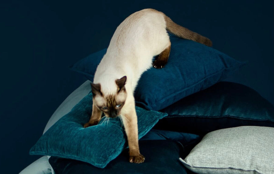 NAVY LÄTT OCH SLITSTARK MÖBELSAMMET - MAGIC VELVET