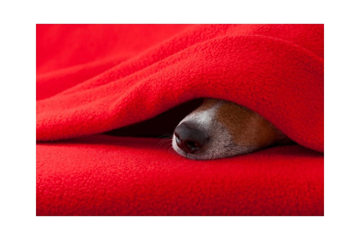 MÖRK ORANGE POLAR FLEECE – ANTI-PILLING, VARM & LÄTT