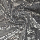 SILVER PALJETTYG